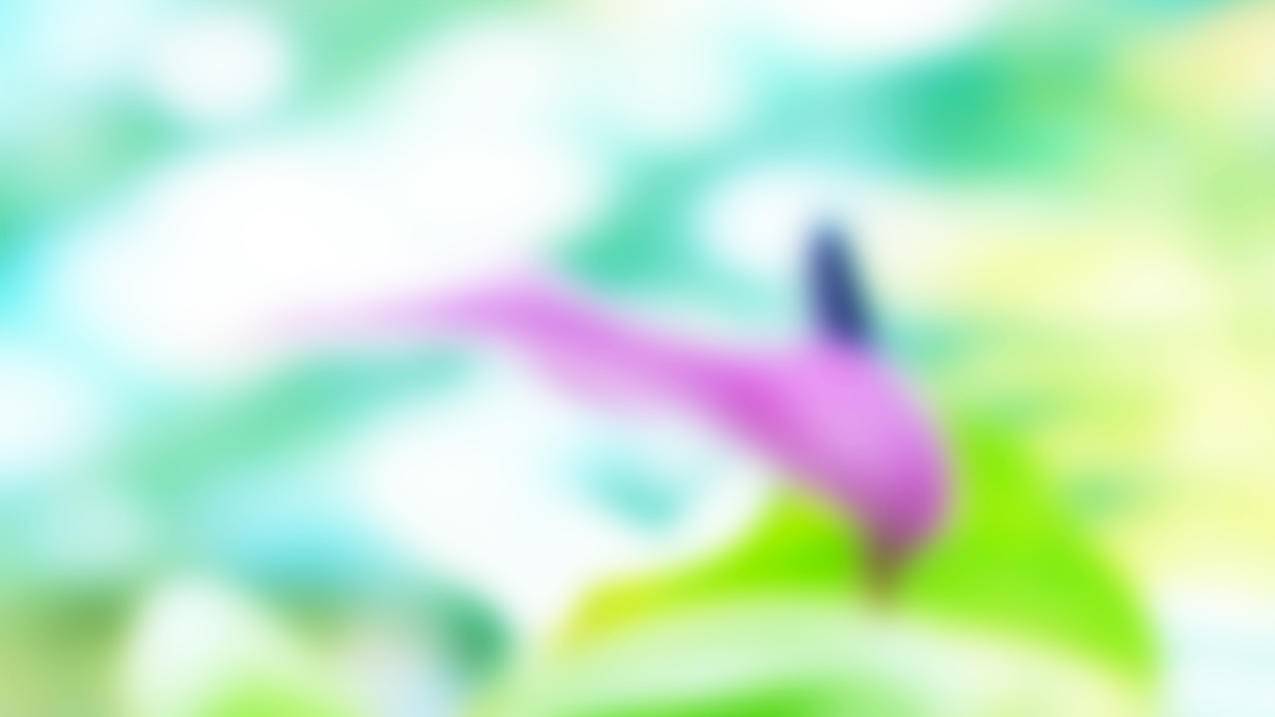 Ks永久业务网,dy自助下单平台在线,免费24小时下单平台